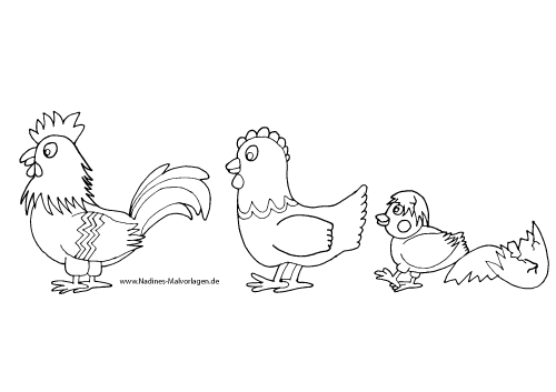 Hühnerfamilie Hahn mit Henne und Küken aus dem Ei