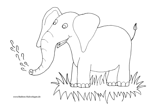 Freudiger Elefant mit Wasserfontäne