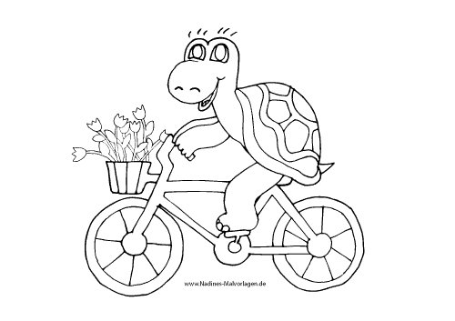 Ausmalbild Schildkröte fährt Fahrrad mit Blumenstrauß