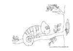 Ausmalbild Chameleon auf Ast in Baum mit Vogel