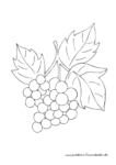 Ausmalbild Weintrauben Weinrebe Trauben Obst