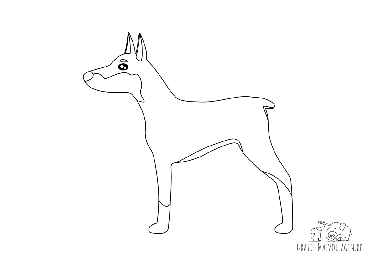 Dobermann Hund