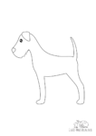 Ausmalbild Irish Terrier Hund