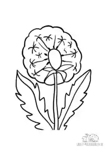 Ausmalbild Pusteblume
