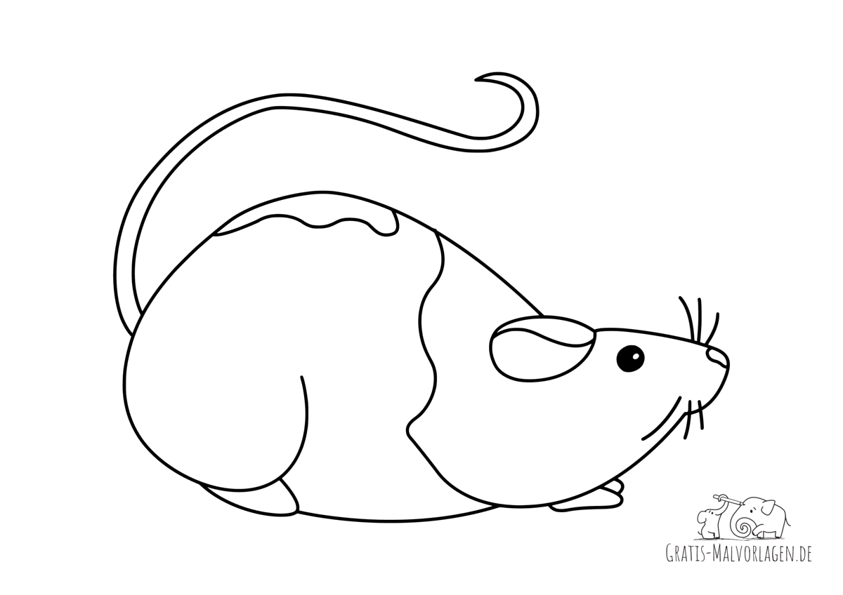 Ausmalbild Ratte mit langem Schwanz